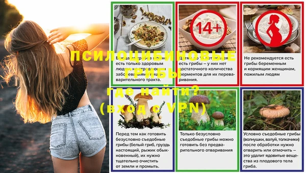 дмт Арсеньев