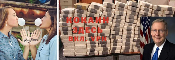 сатива Балахна